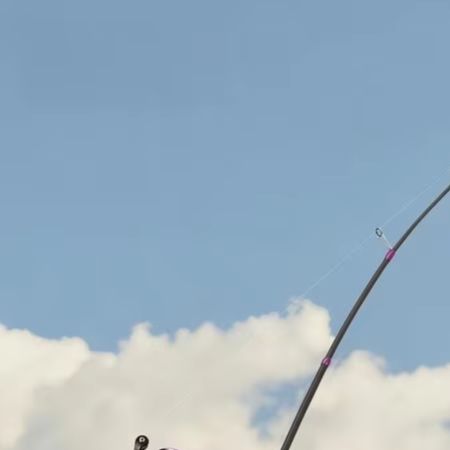 Canna da Pesca Dedicata BFS 1. - Fishing Rod Carbon Fiber recensione e prezzo